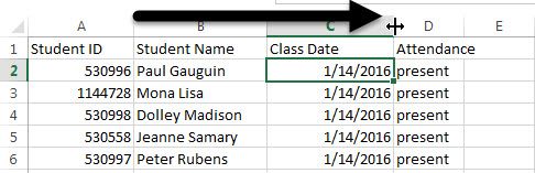 Widening Excel columns