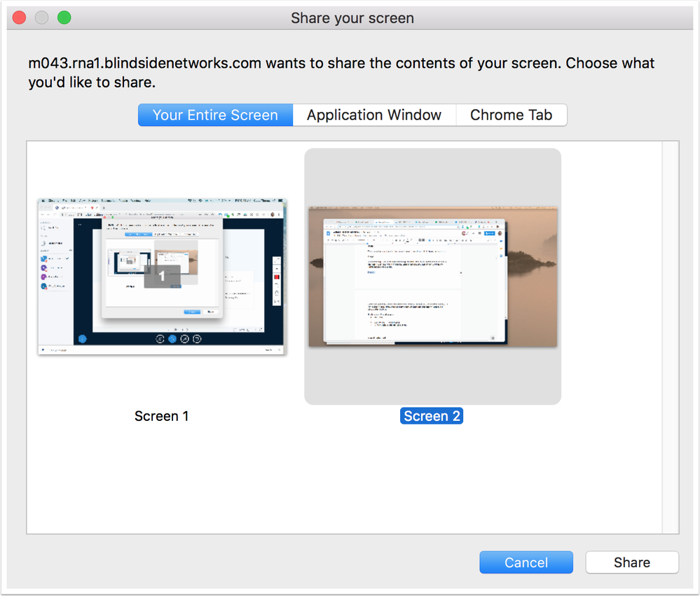 Presenter screensharing window