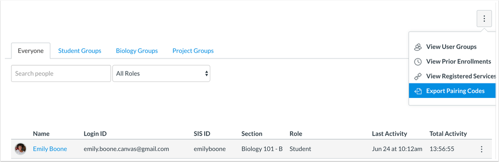 pairing codes export button in the people page