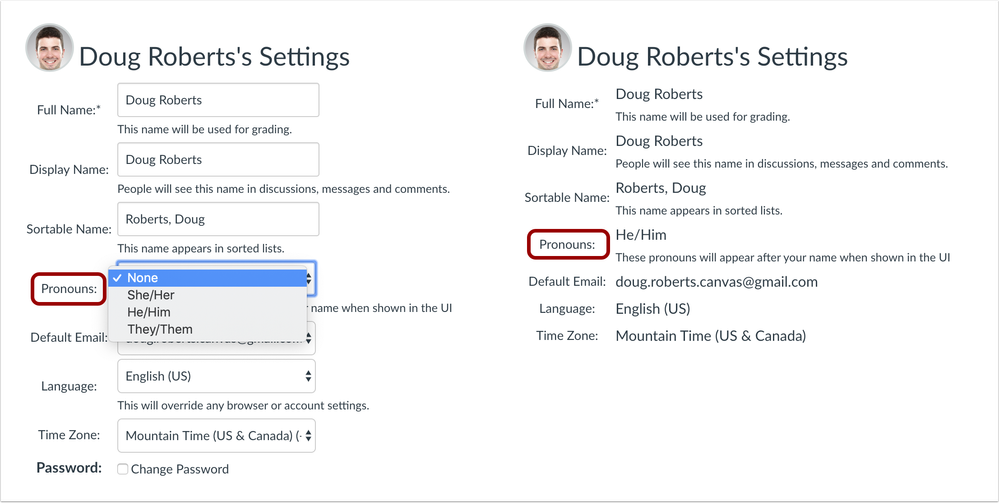 User Settings Pronoun option