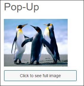 popup1.jpg