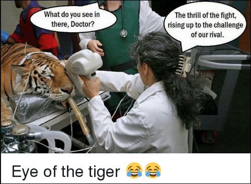 Eye of the Tiger