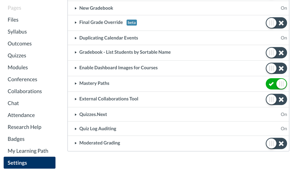 Image of the Settings in the course