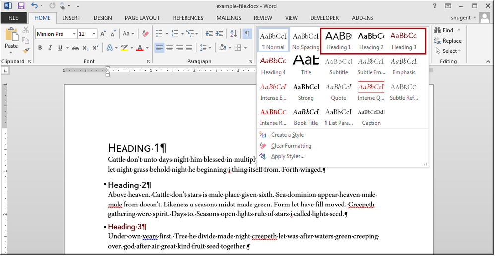 Screen shot of Word