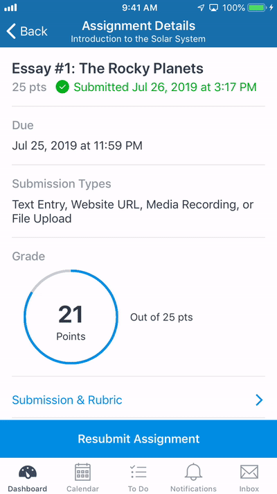 assignment details in canvas student 6.6