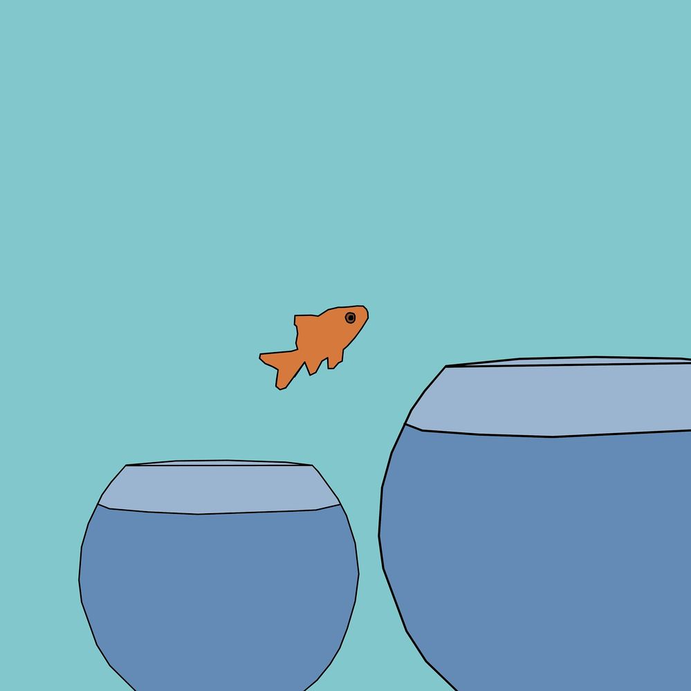 Goldfish jumping from one bowl to a larger bowl. 